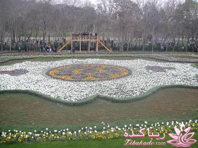 عکـــــــــــــــــس های گرفته شده در سفـــــــر