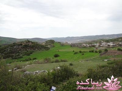 .:آلبوم عکسهای خودگرفته ما:.