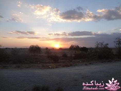 .:آلبوم عکسهای خودگرفته ما:.