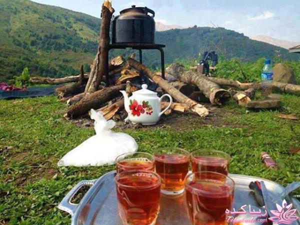 كافه گفت وگو ...