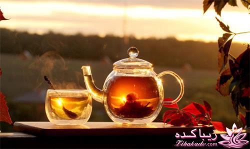 كافه گفت وگو ...