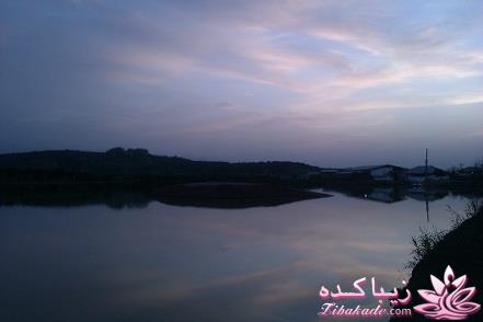 .:آلبوم عکسهای خودگرفته ما:.