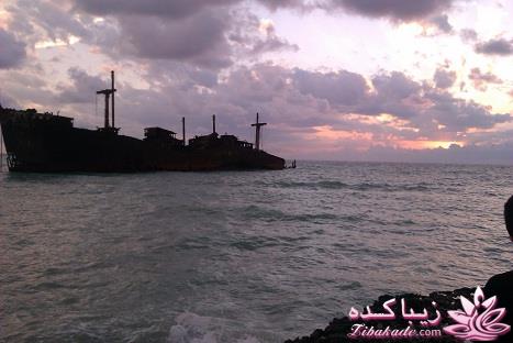 .:آلبوم عکسهای خودگرفته ما:.