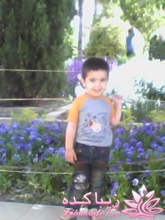 عکـــــــــــــــــس های گرفته شده در سفـــــــر