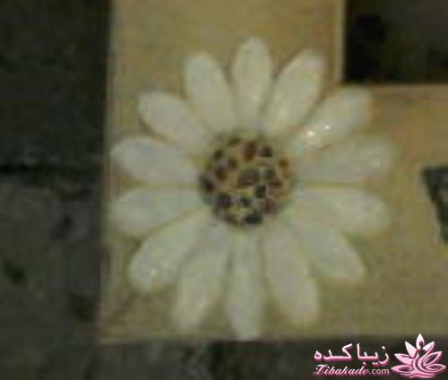 همه چیز در مورد ویترای...