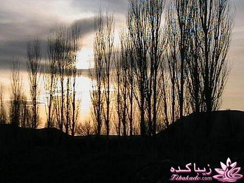 .:آلبوم عکسهای خودگرفته ما:.