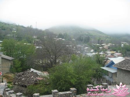 .:آلبوم عکسهای خودگرفته ما:.