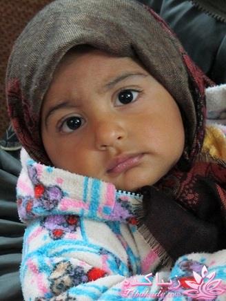 مسابقه عکاسی زیباکده ای مورد حمایت فروشگاه پانوراما**ویژه دریافت عکس**