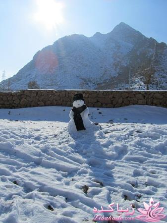 .:آلبوم عکسهای خودگرفته ما:.