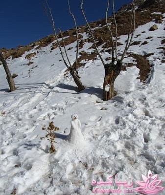 .:آلبوم عکسهای خودگرفته ما:.