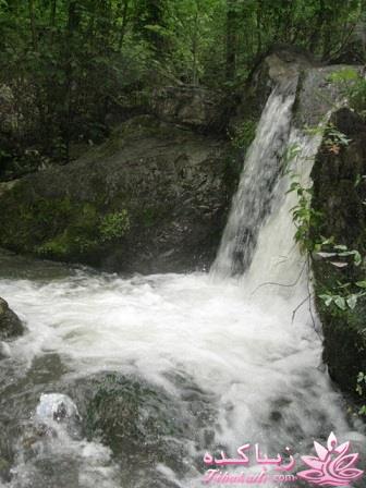 .:آلبوم عکسهای خودگرفته ما:.