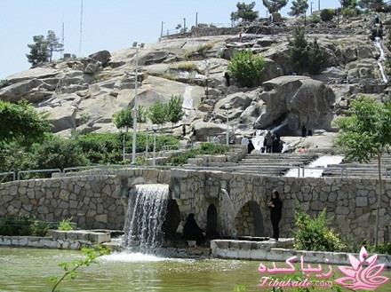 .:آلبوم عکسهای خودگرفته ما:.