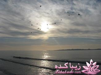 .:آلبوم عکسهای خودگرفته ما:.