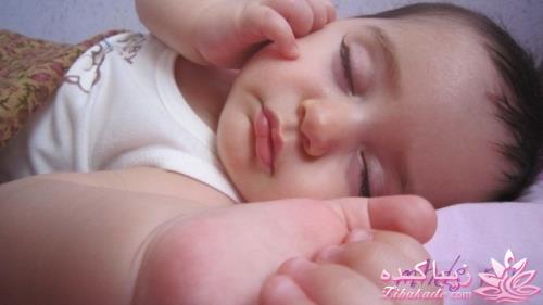 مسابقه عکاسی زیباکده ای مورد حمایت فروشگاه پانوراما**ویژه دریافت عکس**