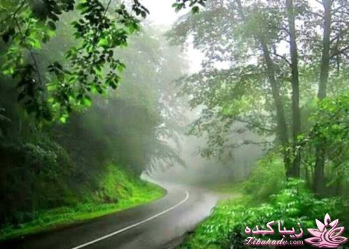 مسابقه عکاسی زیباکده ای مورد حمایت فروشگاه پانوراما**ویژه دریافت عکس**