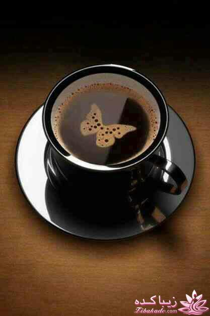 جـــــــــــــکـــــــ     جــــــــــالــــــــب