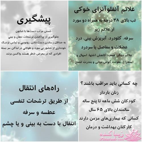 علایم ، راههای انتقال و پیشگیری از آنفولانزای خوکی