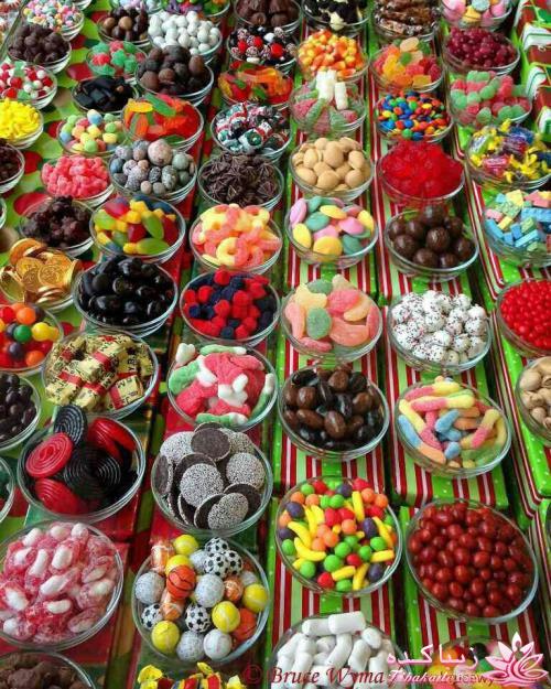 جـــــــــــــکـــــــ     جــــــــــالــــــــب