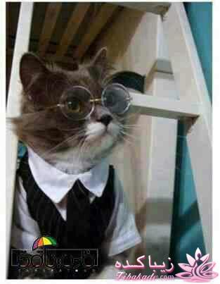 اینـــــا (خانم ها) وووووووو اونـــــــا (آقایون) ------"شوخی و خنده"