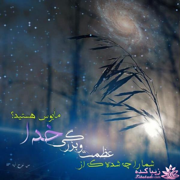 كافه گفت وگو ...