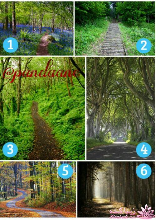 تست روانشناسی