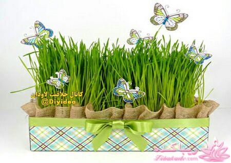 ایده ای زیبا برای سبزه ی سفره هفت سین
