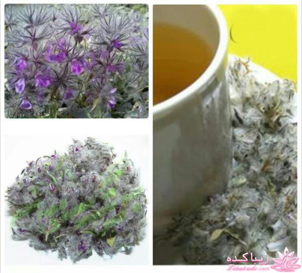 انواع دمنوش و خواص آنها