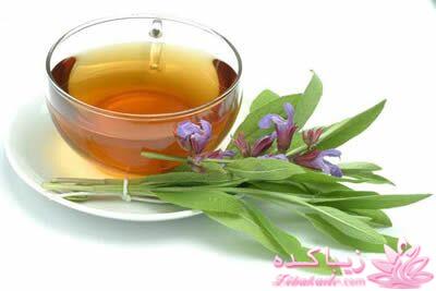 انواع دمنوش و خواص آنها