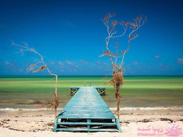 تصاویر منتخب مجله نشنال جئوگرافیک