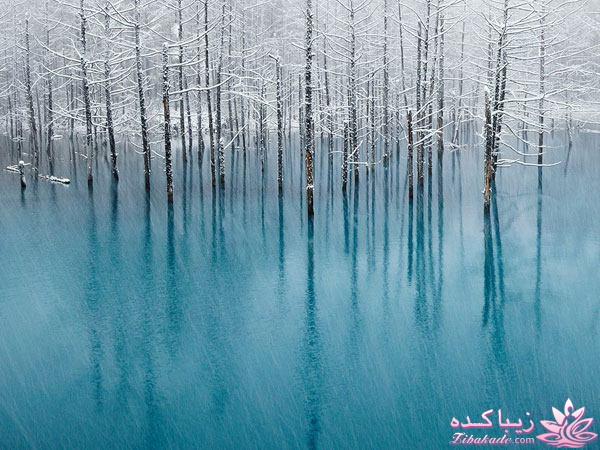 تصاویر منتخب مجله نشنال جئوگرافیک