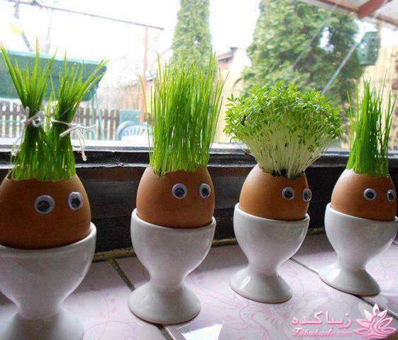ایده ای زیبا برای سبزه ی سفره هفت سین