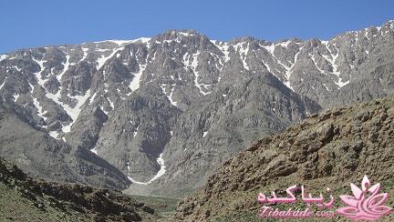 .:آلبوم عکسهای خودگرفته ما:.