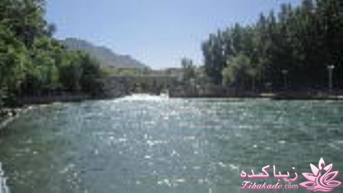 .:آلبوم عکسهای خودگرفته ما:.