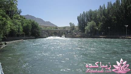 .:آلبوم عکسهای خودگرفته ما:.