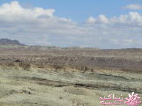 .:آلبوم عکسهای خودگرفته ما:.