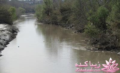 مسابقه عکاسی زیباکده ای مورد حمایت فروشگاه پانوراما**ویژه دریافت عکس**