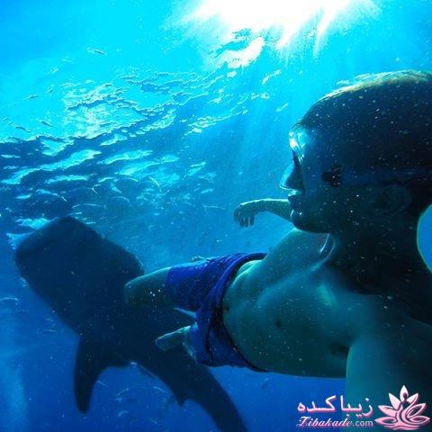 ۸ تا از بهترین و جالبترین عکس های سلفی سال ٢٠١٥