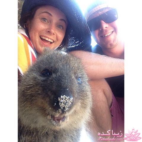 ۸ تا از بهترین و جالبترین عکس های سلفی سال ٢٠١٥