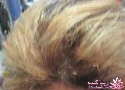 رنگ مو، آموزش ترکیب رنگ مو