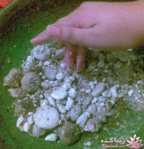 ***مسابقه اشپزی زیباکده ای***