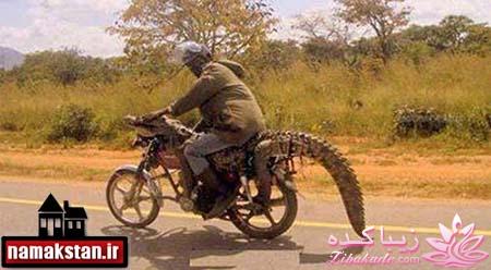 ترول هاي بانمك ..............