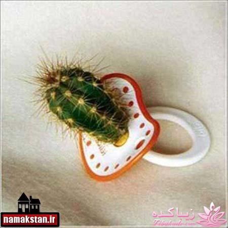 ترول هاي بانمك ..............