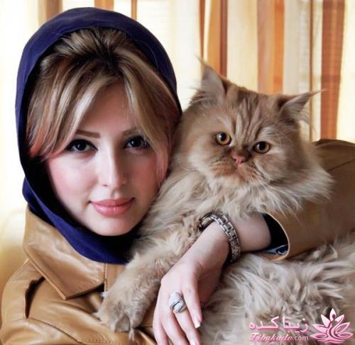 رنگ مو، آموزش ترکیب رنگ مو