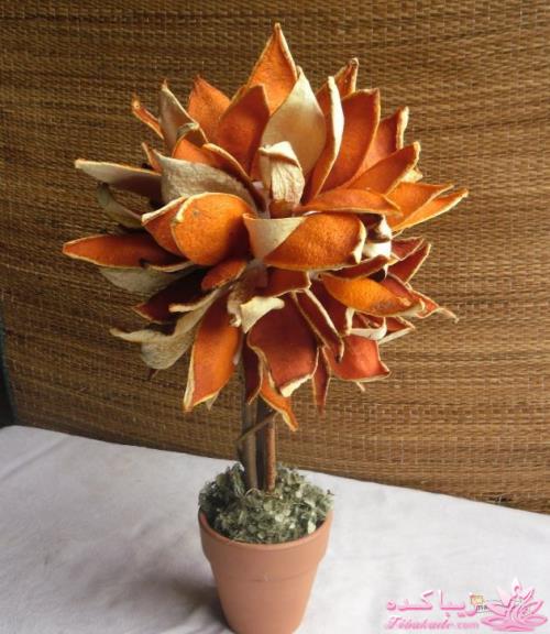 خانه و آشپزخانه