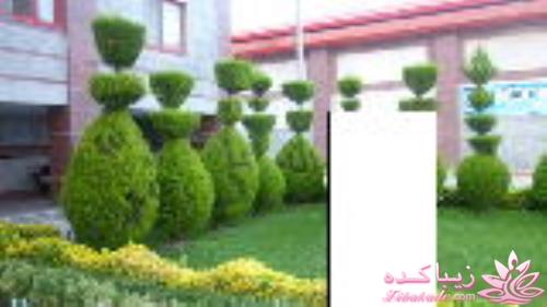 عکـــــــــــــــــس های گرفته شده در سفـــــــر