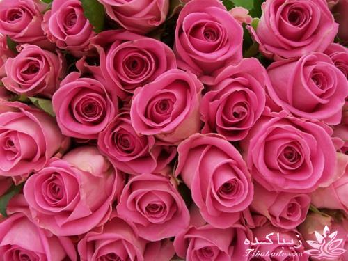 سلام علیکمـ