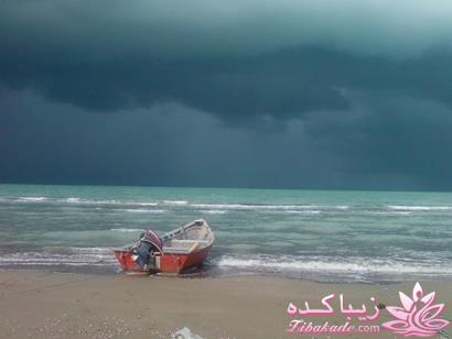 .:آلبوم عکسهای خودگرفته ما:.