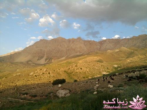 .:آلبوم عکسهای خودگرفته ما:.