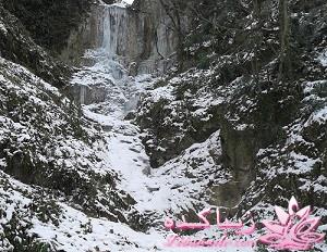 .:آلبوم عکسهای خودگرفته ما:.