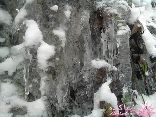 .:آلبوم عکسهای خودگرفته ما:.